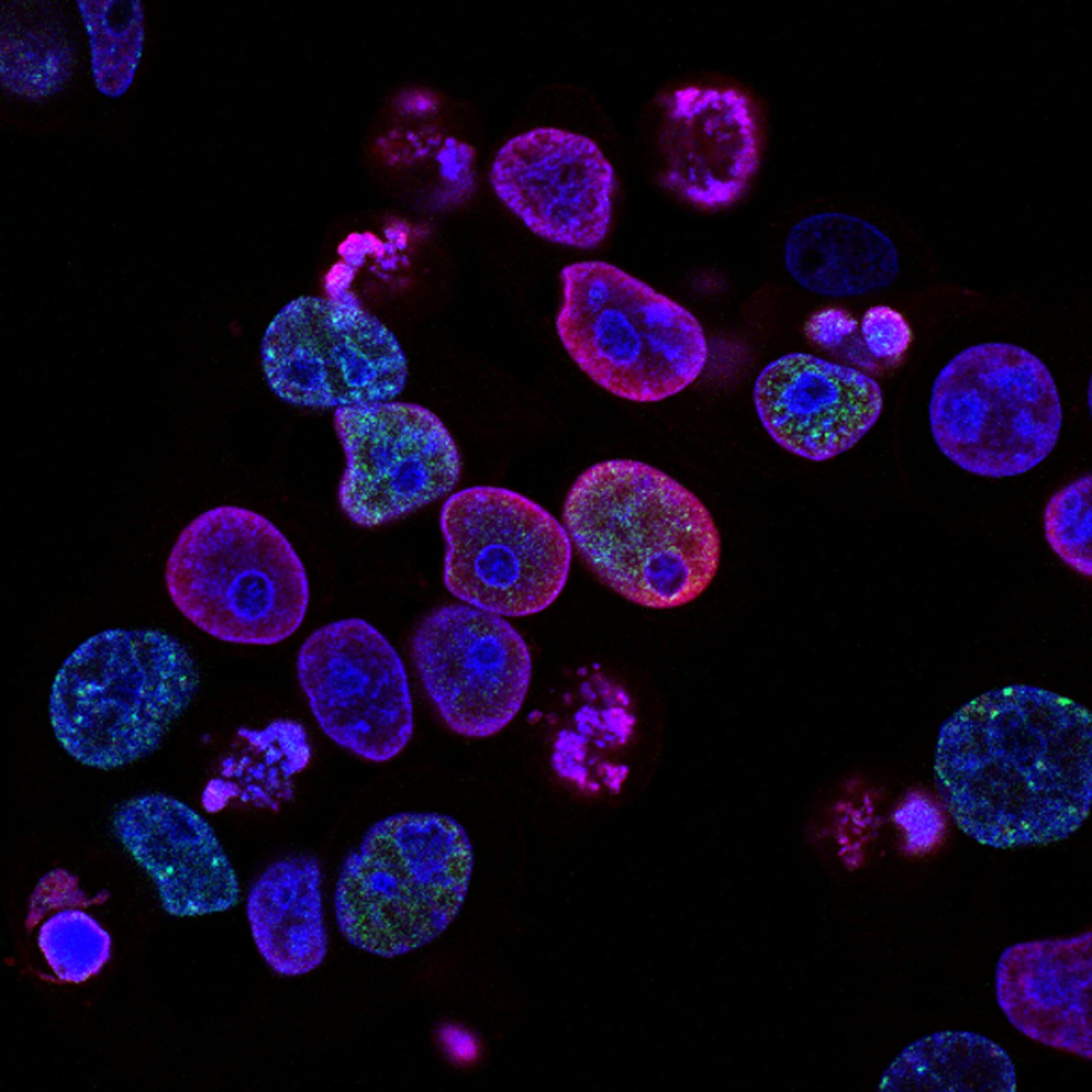 Molecular research and pharmaceutical innovation